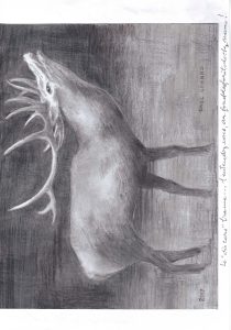 Sans titre (Carnet 2, Croquis 007), Paul Gérard, 2017.